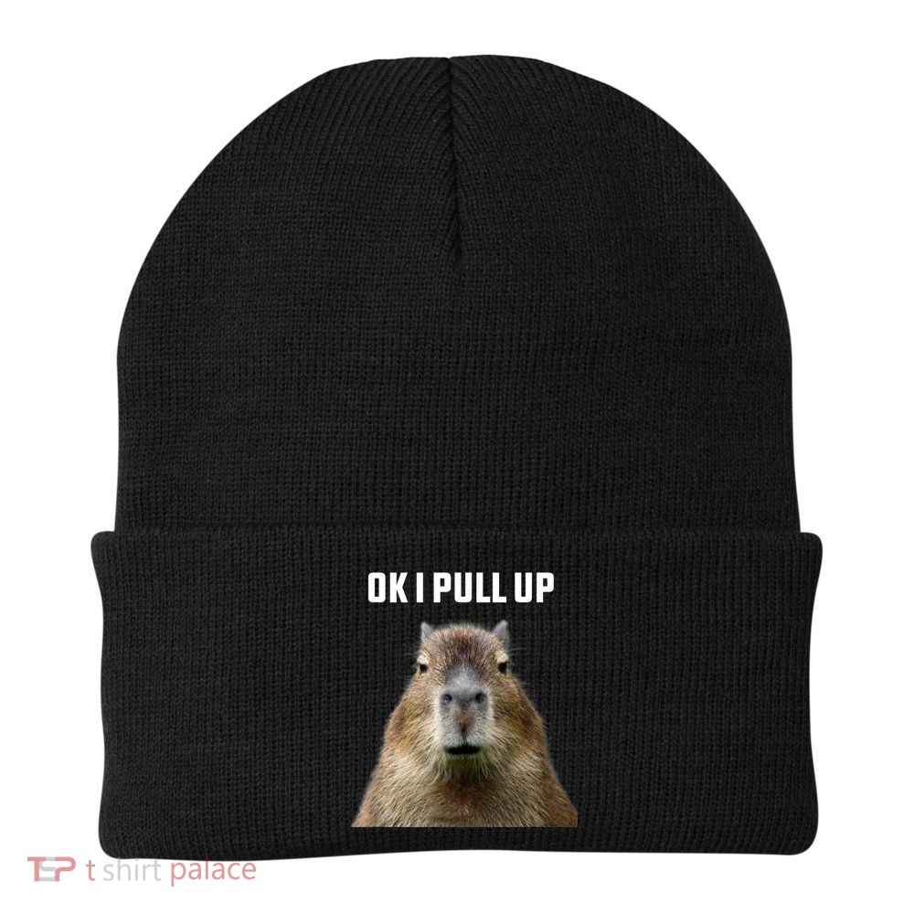 Ok I Pull Up Capybara Beanie