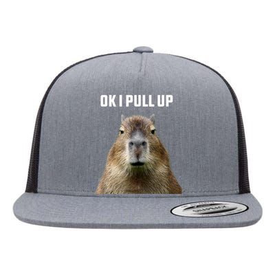 Ok I Pull Up Capybara Flat Bill Trucker Hat