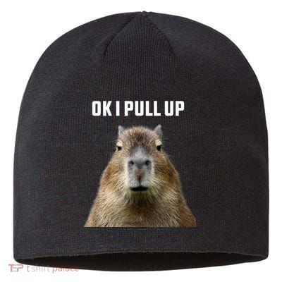 Ok I Pull Up Capybara Sustainable Beanie