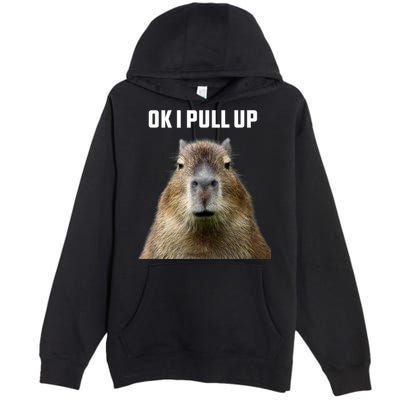 Ok I Pull Up Capybara Premium Pullover Hoodie