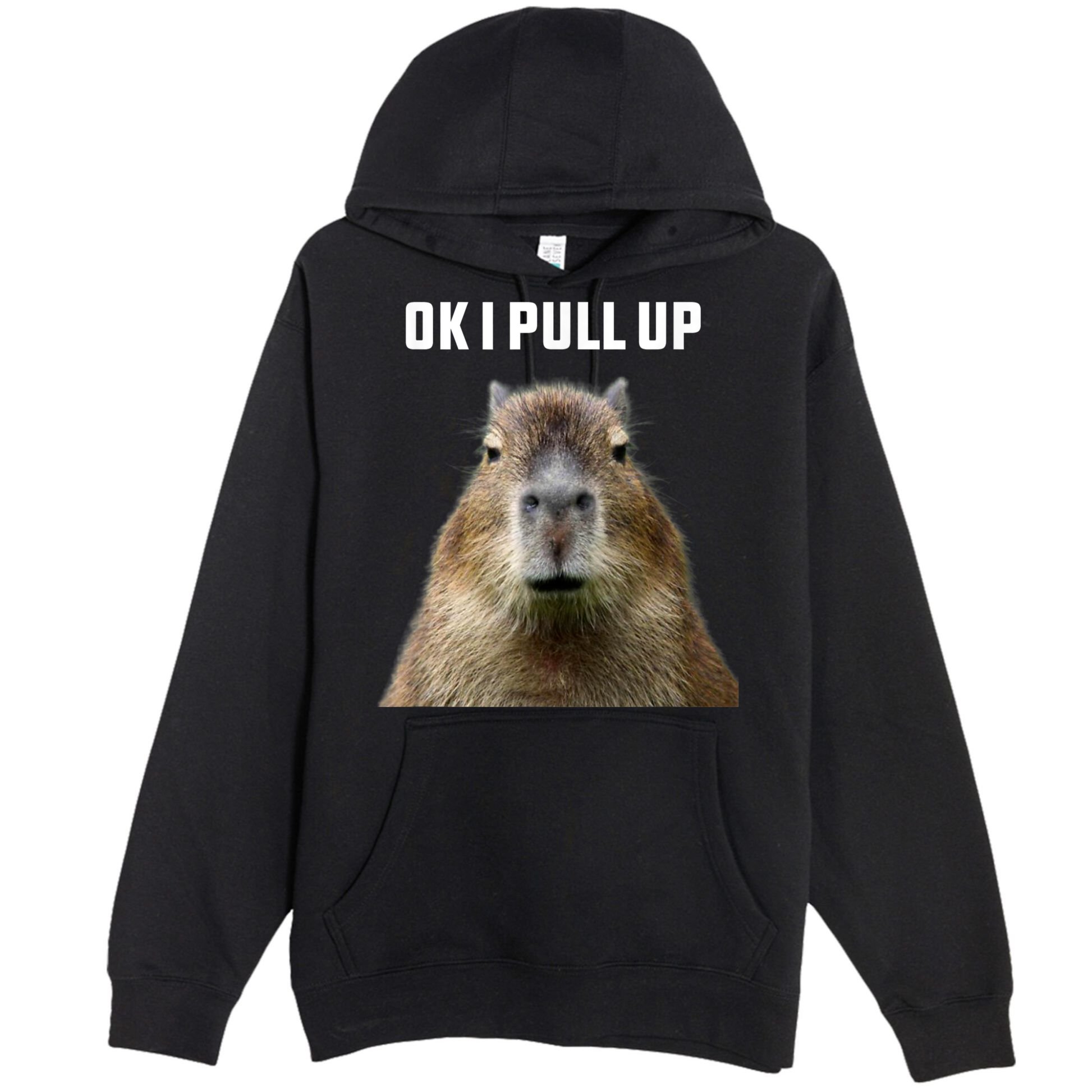 Ok I Pull Up Capybara Premium Pullover Hoodie