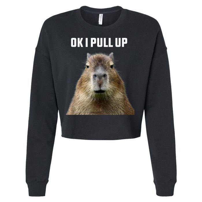 Ok I Pull Up Capybara Cropped Pullover Crew