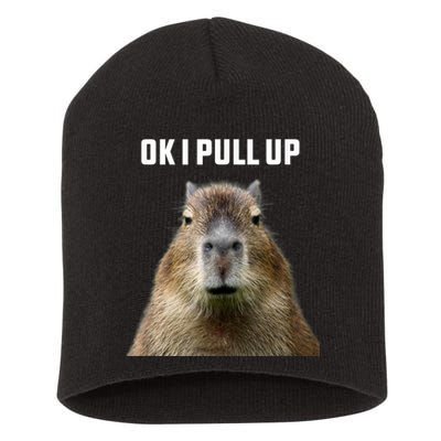 Ok I Pull Up Capybara Short Acrylic Beanie