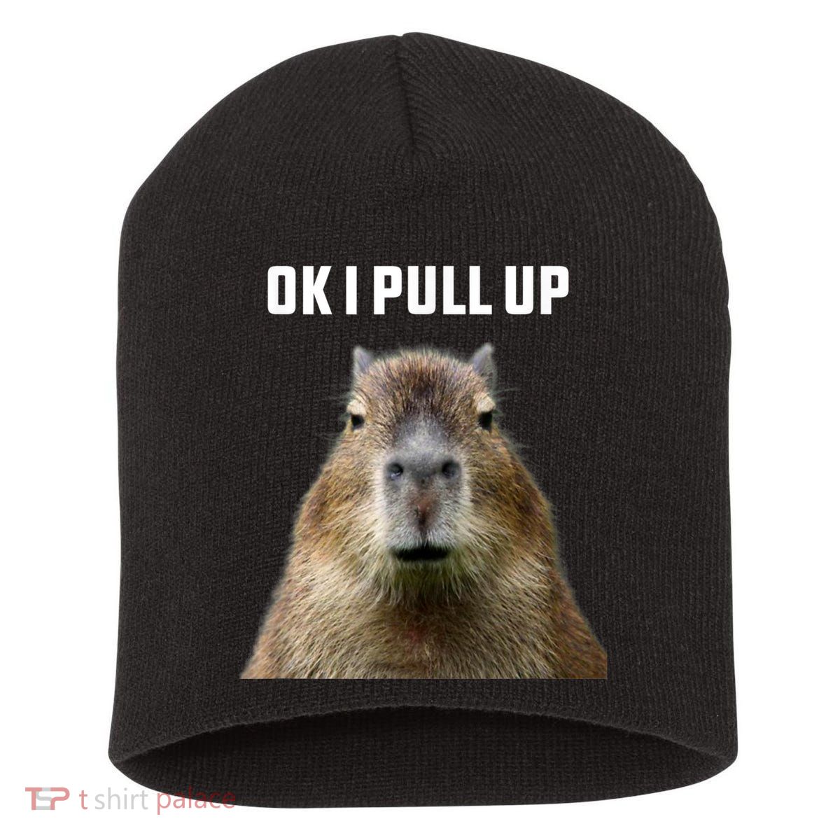 Ok I Pull Up Capybara Short Acrylic Beanie