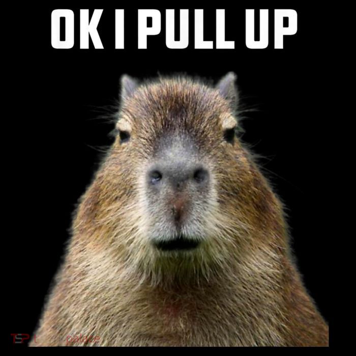 Ok I Pull Up Capybara Zip Tote Bag
