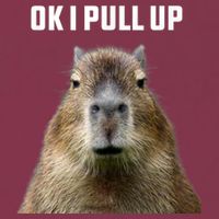 Ok I Pull Up Capybara 16oz Travel Tumbler