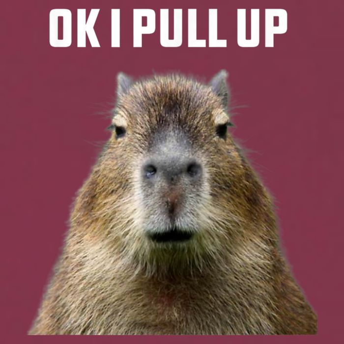 Ok I Pull Up Capybara 16oz Travel Tumbler