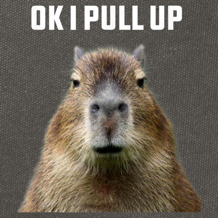Ok I Pull Up Capybara Cotton Canvas Backpack