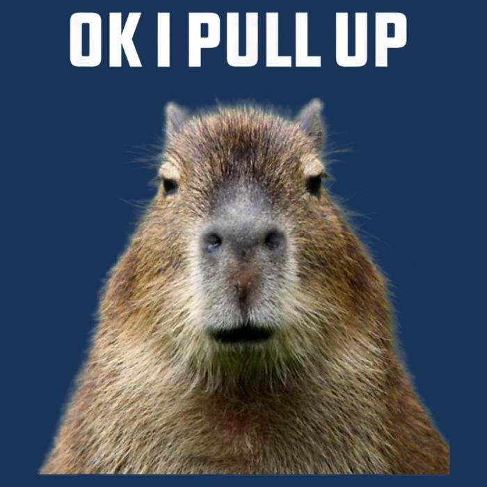 Ok I Pull Up Capybara Infant Baby Jersey Bodysuit