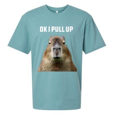 Ok I Pull Up Capybara Sueded Cloud Jersey T-Shirt