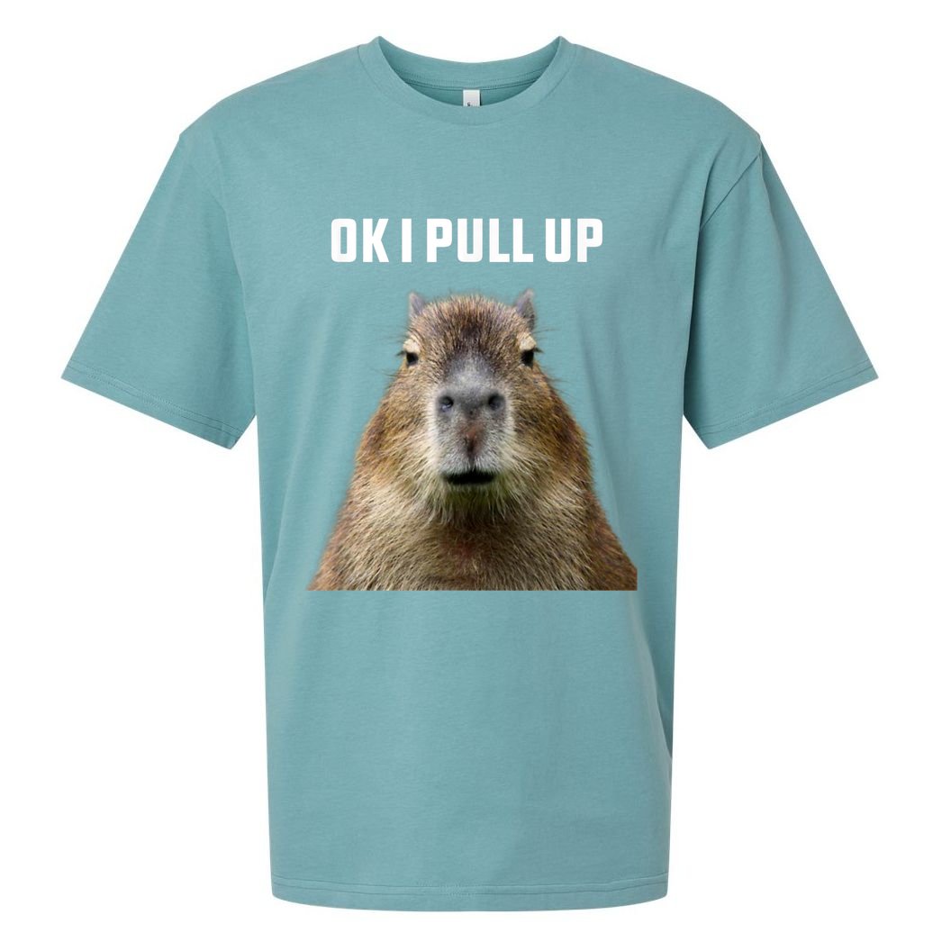 Ok I Pull Up Capybara Sueded Cloud Jersey T-Shirt