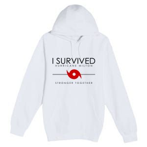 Official I Survived Hurricane Milton Stronger Together Premium Pullover Hoodie