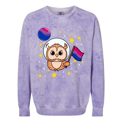 Owl In Space Bisexual Pride Gift Colorblast Crewneck Sweatshirt