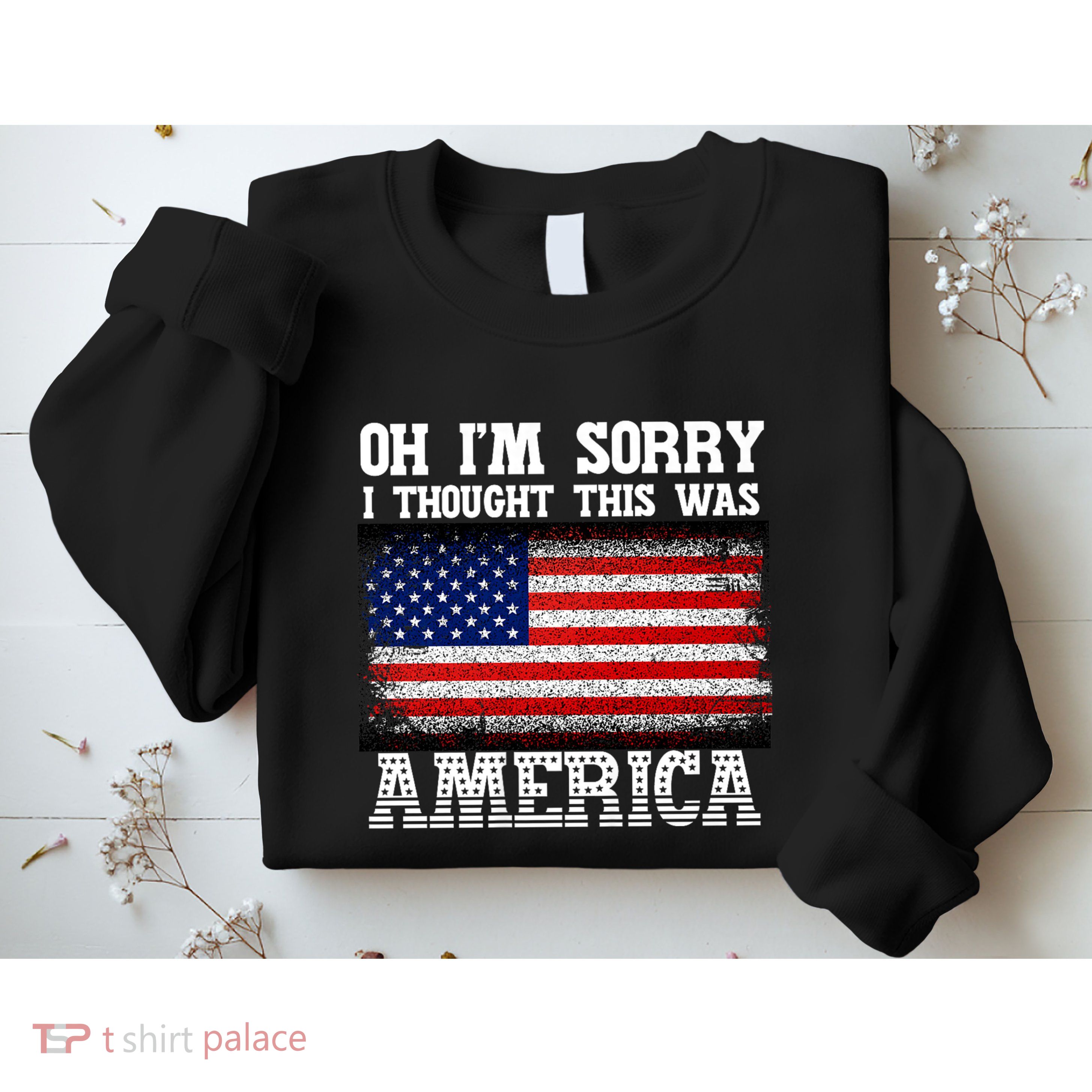 Oh IM Sorry I Thought This Was America Sweatshirt