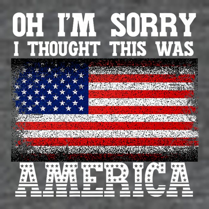 Oh IM Sorry I Thought This Was America Womens T-Shirt
