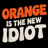 Orange Is The New Idiot Mesh Reversible Basketball Jersey Tank