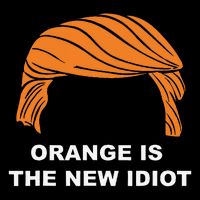 Orange Is The New Idiot Drawstring Bag