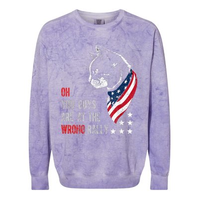 Oh I Think You Guys Are At The Wrong Rally. Colorblast Crewneck Sweatshirt