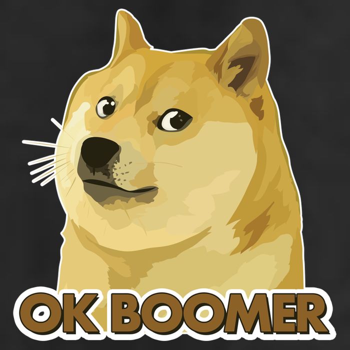 Ok Boomer Doge 7 Panel Mesh Trucker Snapback Hat