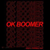 Ok Boomer Have a Terrible Day Kids Colorblock Raglan Jersey
