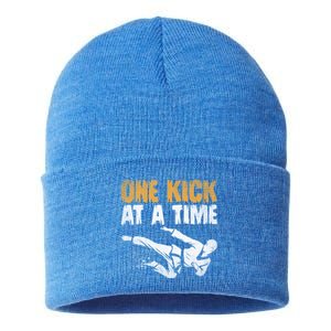 One Kick At A Time Taekwondo Martial Artist Martial Arts Tkd Gift Sustainable Knit Beanie