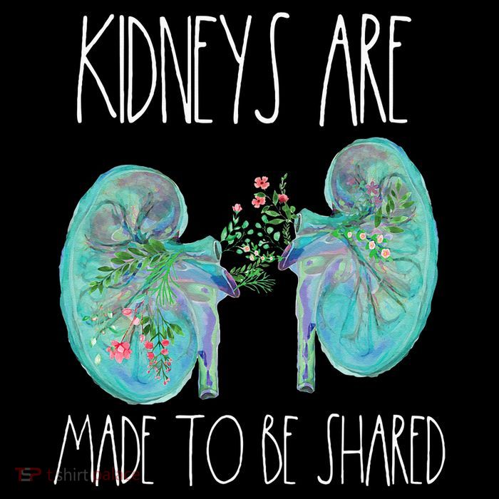 One Kidney Transplant Donor Kidney Surgery Shared Kidneys 16 in Basic Backpack