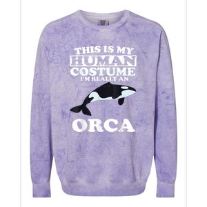 Orca Killer Whale Love Colorblast Crewneck Sweatshirt