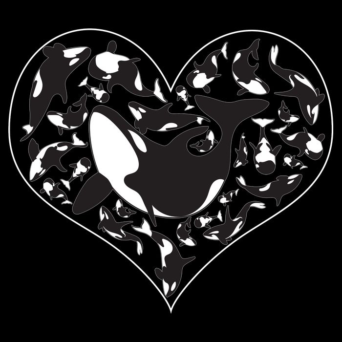 Orca Killer Whale Love 16 in Basic Backpack