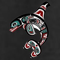 Orca Killer Whale Pacific Northwest Alaska Native American Beanie
