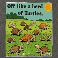 Off Like A Herd Of Turtles! Funny Family Saying Cotton Canvas Backpack