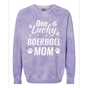 One Lucky Boerboel Mom Dog St Patricks Day Distressed Meaningful Gift Colorblast Crewneck Sweatshirt