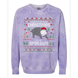 Opossums Lover Christmas Possum Ugly Xmas Gift Colorblast Crewneck Sweatshirt