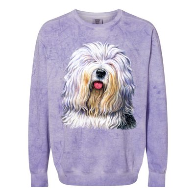 Old English Sheepdog Colorblast Crewneck Sweatshirt