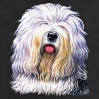 Old English Sheepdog Adult Drive Performance Visor