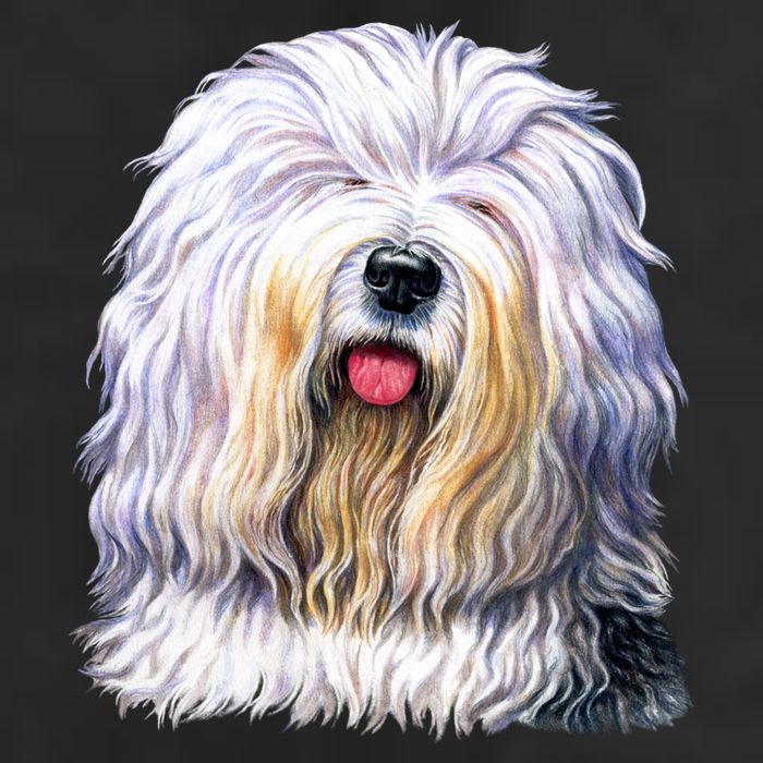 Old English Sheepdog Adult Drive Performance Visor
