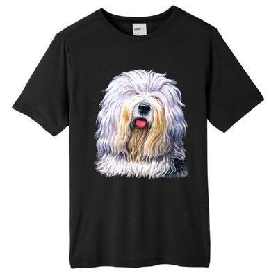 Old English Sheepdog Tall Fusion ChromaSoft Performance T-Shirt