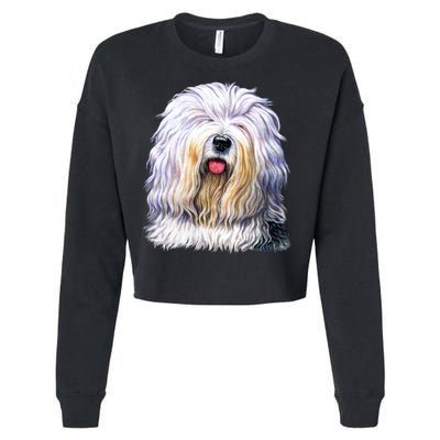 Old English Sheepdog Cropped Pullover Crew