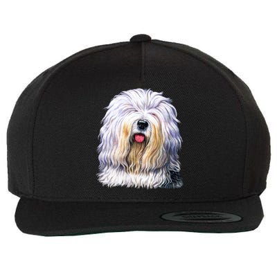 Old English Sheepdog Wool Snapback Cap