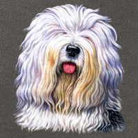 Old English Sheepdog Cotton Canvas Backpack
