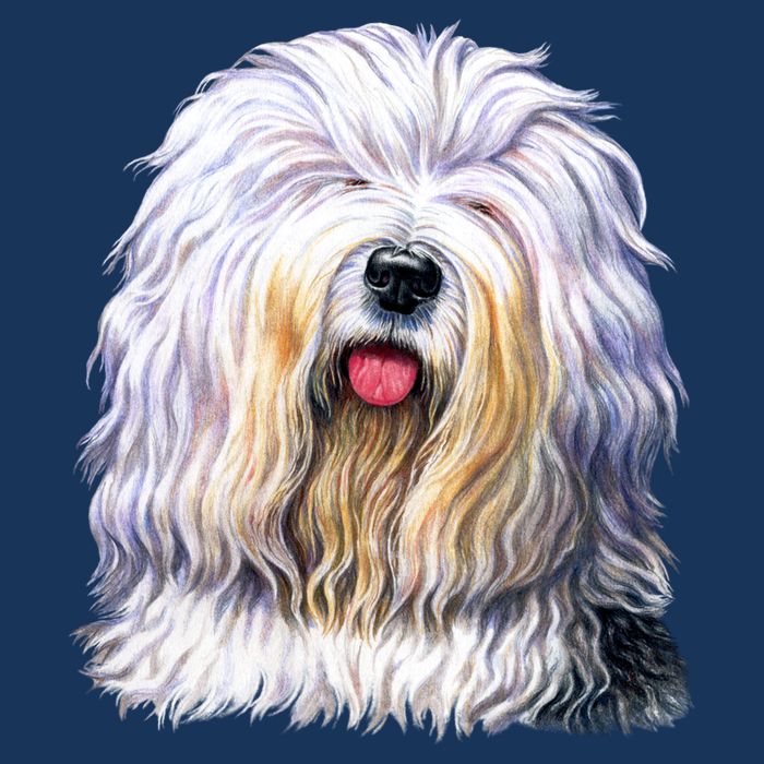 Old English Sheepdog Hoodie