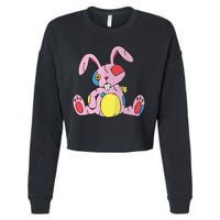 Old Stuffed Rabbit Cropped Pullover Crew