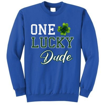 One Lucky Dude Gift St Patricks Day Gift Daddy Gift Tall Sweatshirt