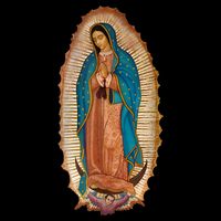 Our Lady De Guadalupe Sant Mary For Christians Catholics T-Shirt