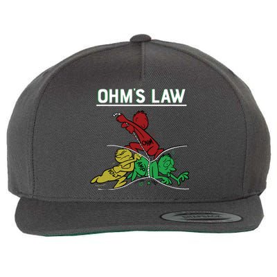 Ohms Law Funny Electrical Electronics Engineer Funny T Wool Snapback Cap