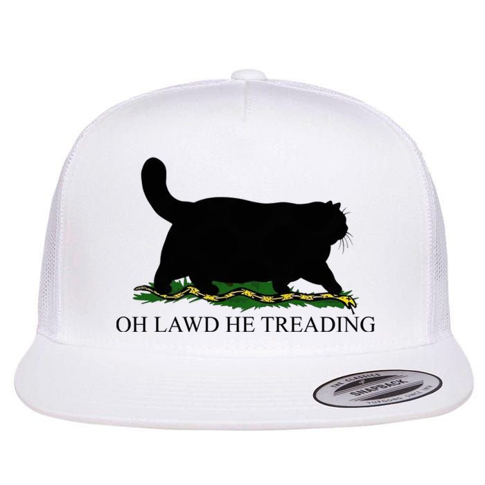 Oh Lawd He Treading Funny Cat Snake Flat Bill Trucker Hat