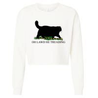 Oh Lawd He Treading Funny Cat Snake Cropped Pullover Crew
