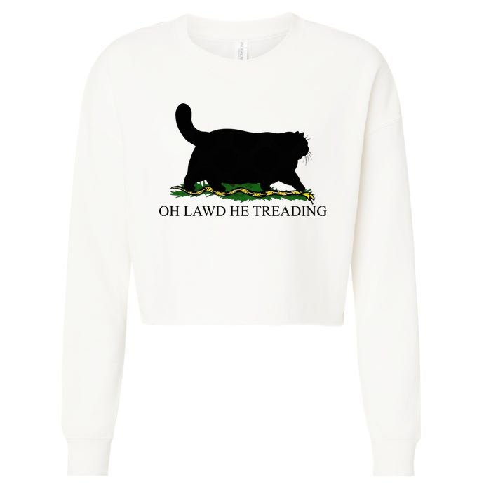 Oh Lawd He Treading Funny Cat Snake Cropped Pullover Crew