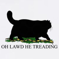 Oh Lawd He Treading Funny Cat Snake Cropped Pullover Crew