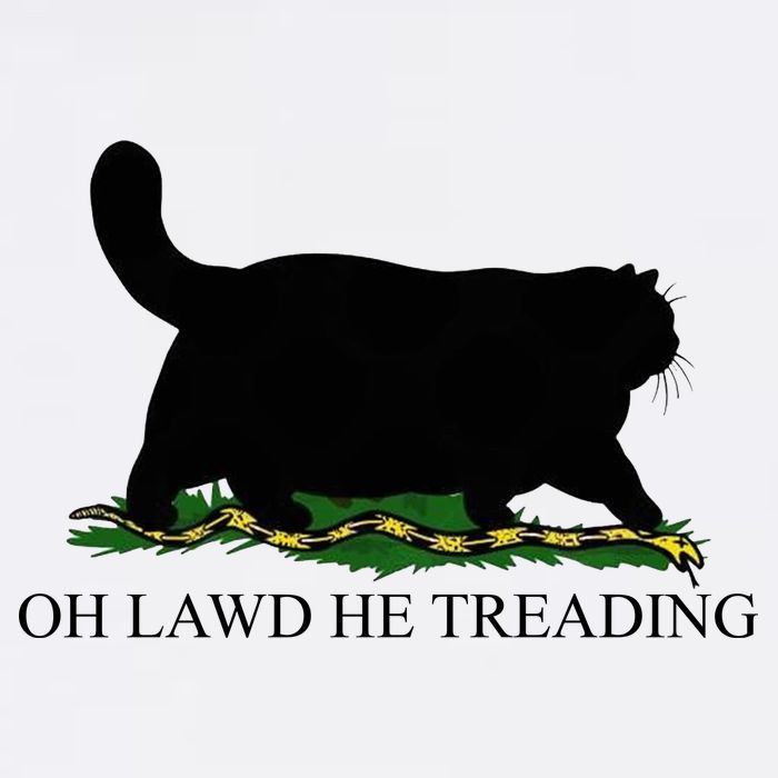 Oh Lawd He Treading Funny Cat Snake Cropped Pullover Crew