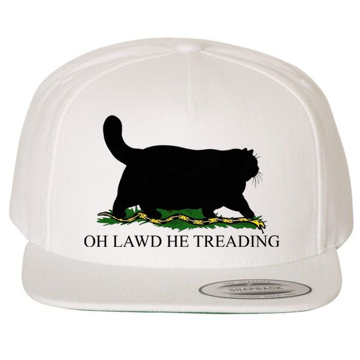 Oh Lawd He Treading Funny Cat Snake Wool Snapback Cap